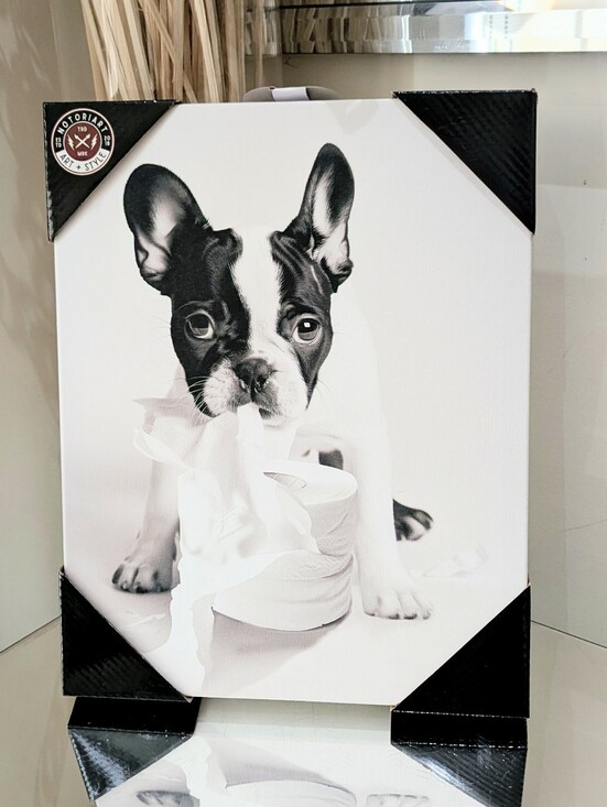 Notoriart Other - New French Bulldog Boston Terrier Toilet Paper Canvas Wall Art